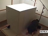 Blindfolded Japanese women escorted into box Subtitles