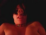 pig wife