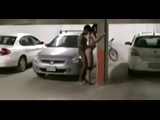 Grosse pute prise dans un parking