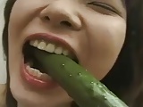 ZICCA ZICCA