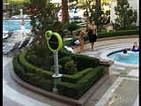 Big beautiful booty at Vegas pool