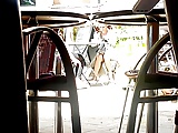 Nice upskirt at the cafe