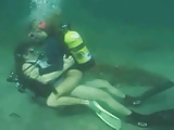 Scuba horny on the reef