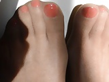 Orange Toes in Pantyhose