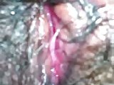 Panocha