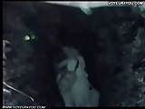 Sex show at night outdoor