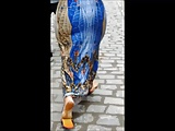 Gata de vestido