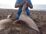 Nude massage on the beach